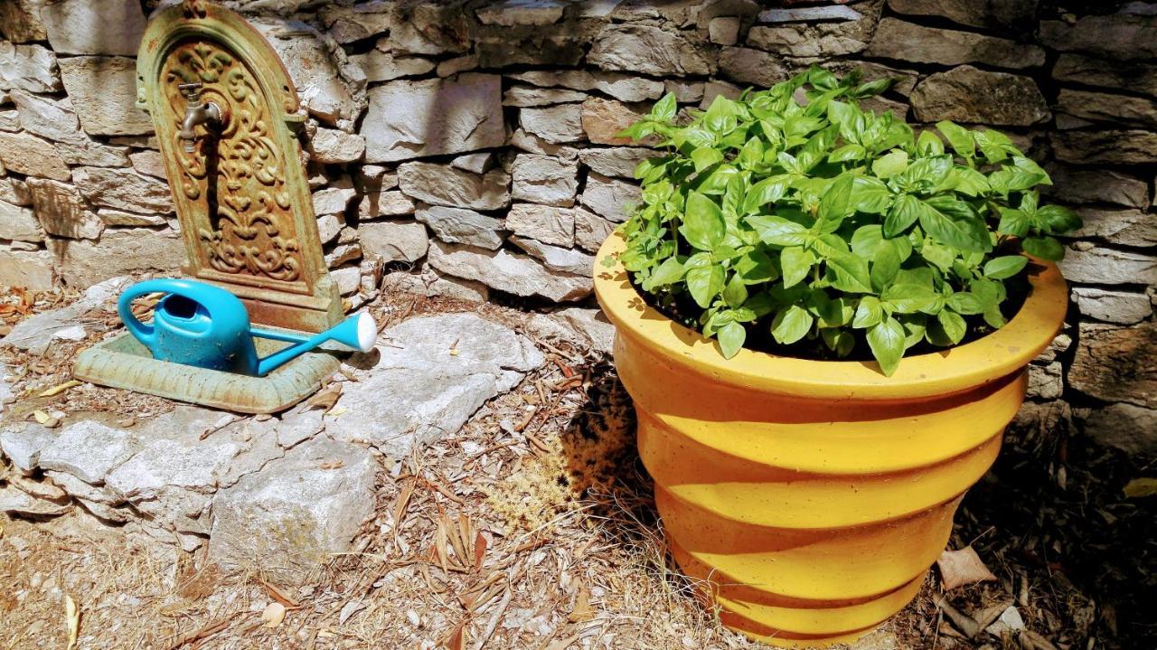 Nimes En Garrigues Bed & Breakfast エクステリア 写真